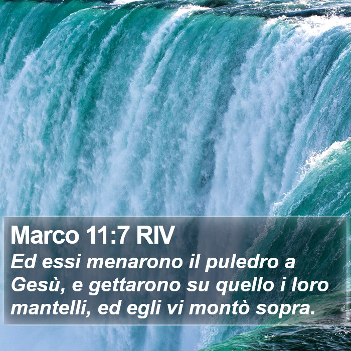 Marco 11:7 RIV Bible Study