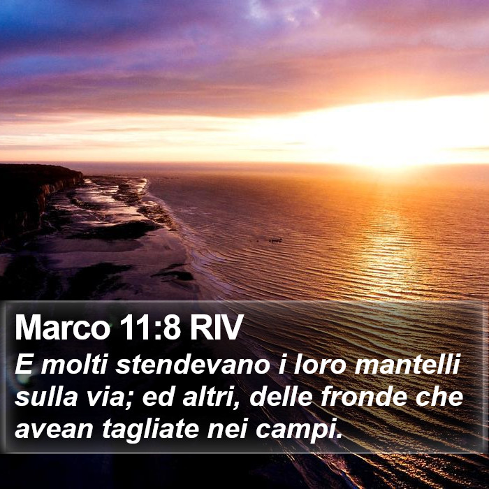 Marco 11:8 RIV Bible Study