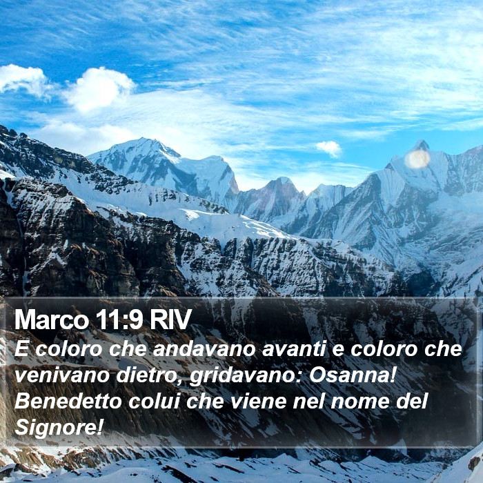 Marco 11:9 RIV Bible Study