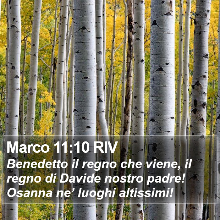 Marco 11:10 RIV Bible Study