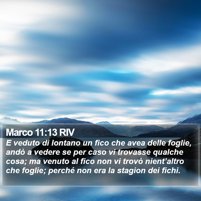 Marco 11:13 RIV Bible Study