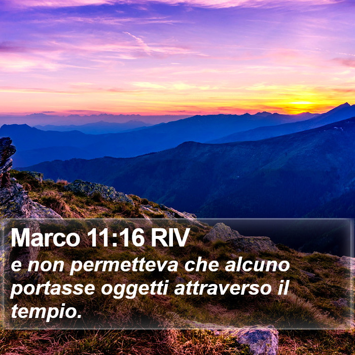 Marco 11:16 RIV Bible Study