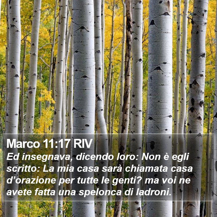 Marco 11:17 RIV Bible Study