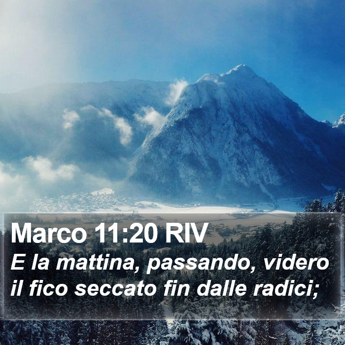 Marco 11:20 RIV Bible Study