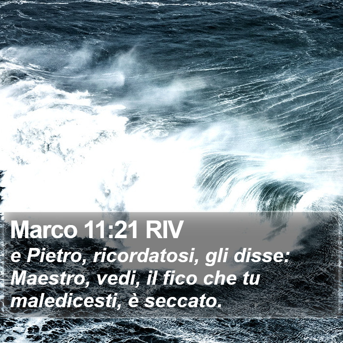 Marco 11:21 RIV Bible Study