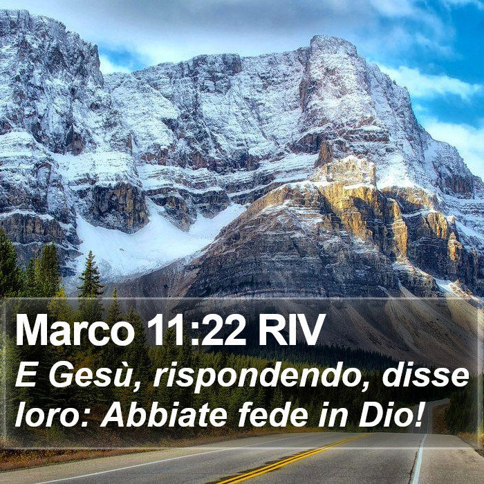 Marco 11:22 RIV Bible Study