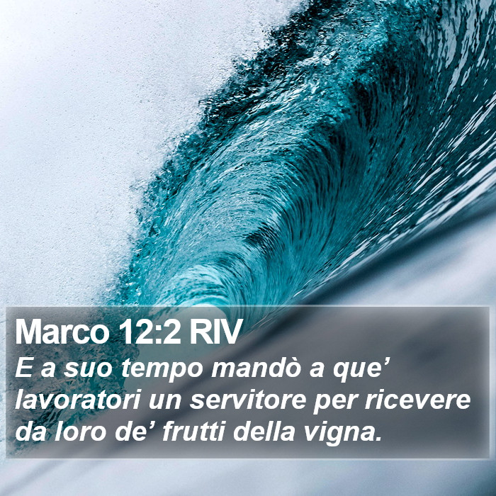 Marco 12:2 RIV Bible Study