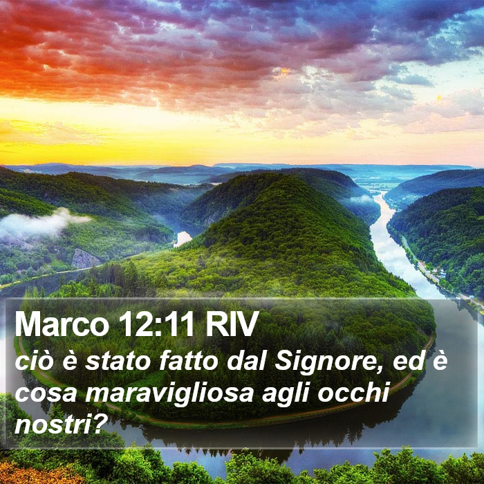 Marco 12:11 RIV Bible Study