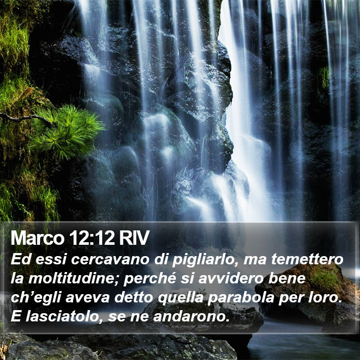 Marco 12:12 RIV Bible Study