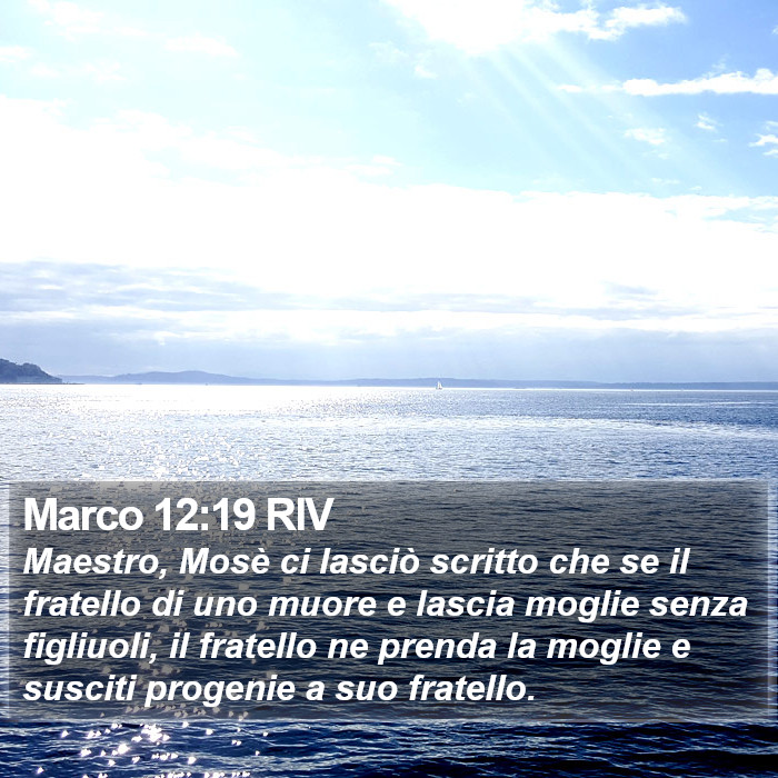 Marco 12:19 RIV Bible Study