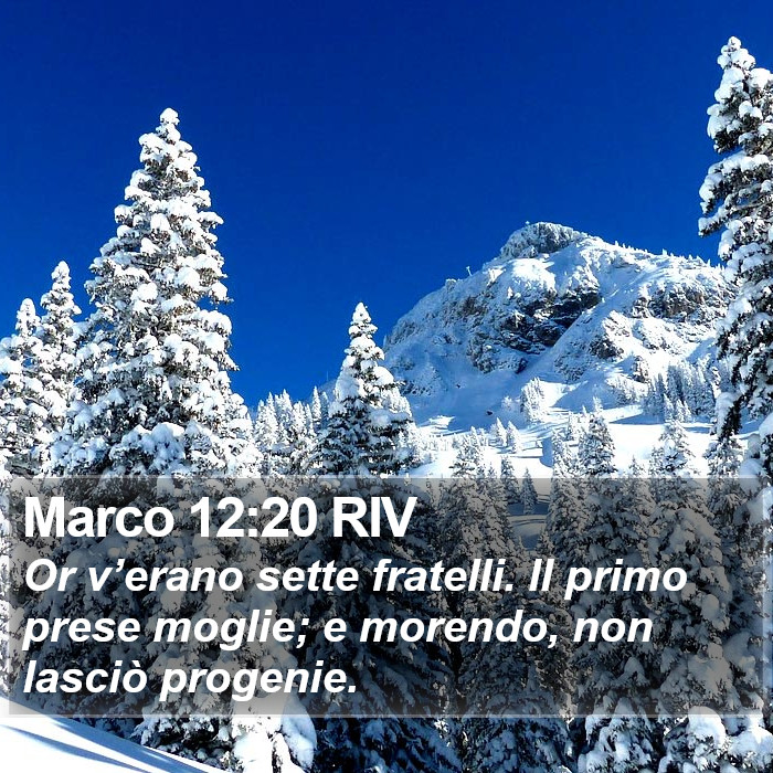 Marco 12:20 RIV Bible Study