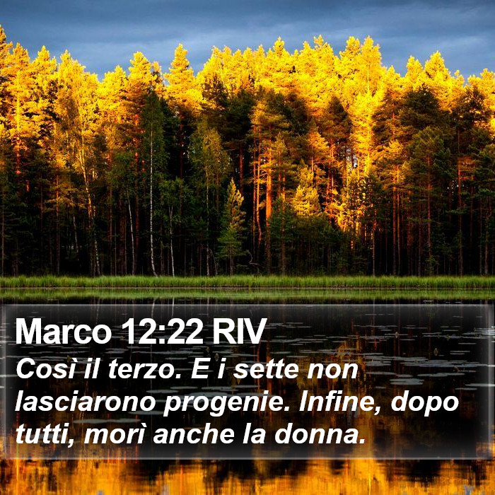 Marco 12:22 RIV Bible Study