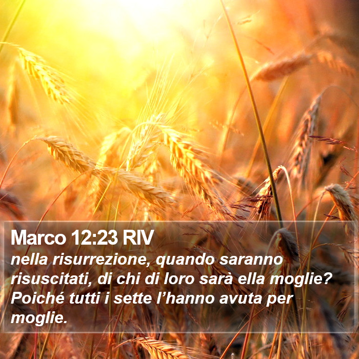 Marco 12:23 RIV Bible Study