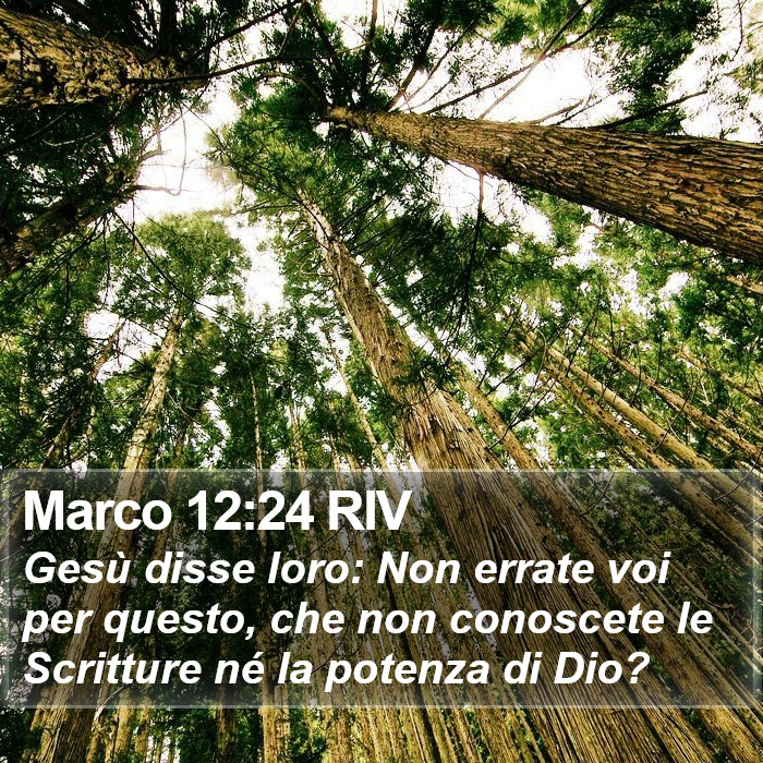 Marco 12:24 RIV Bible Study