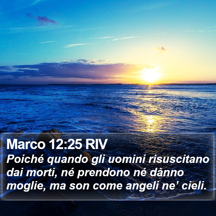 Marco 12:25 RIV Bible Study