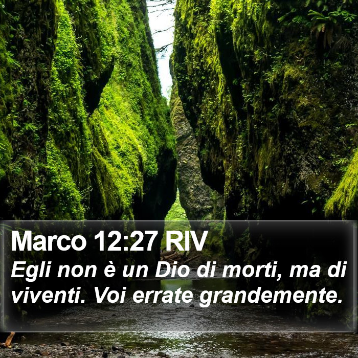 Marco 12:27 RIV Bible Study