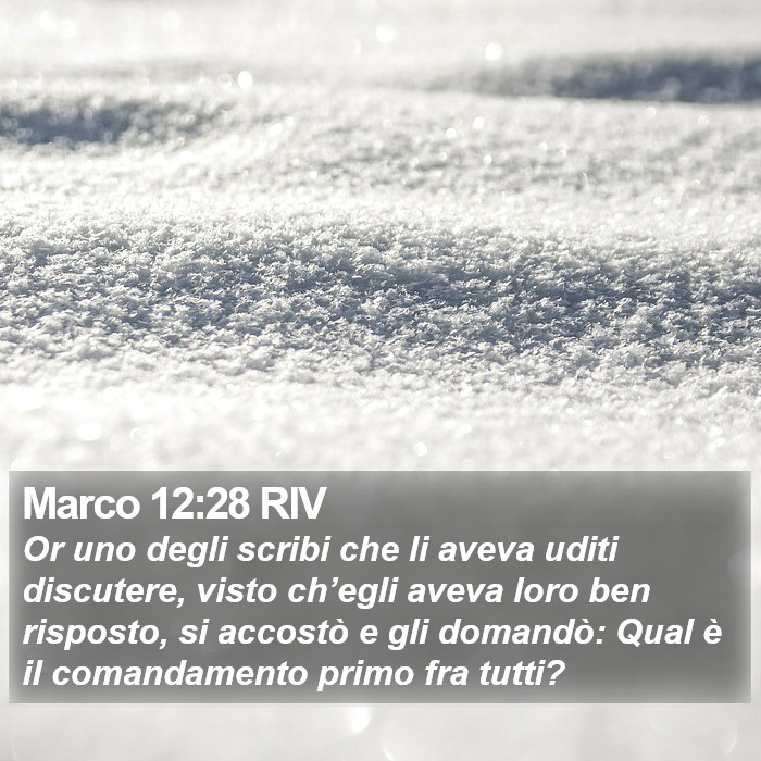 Marco 12:28 RIV Bible Study