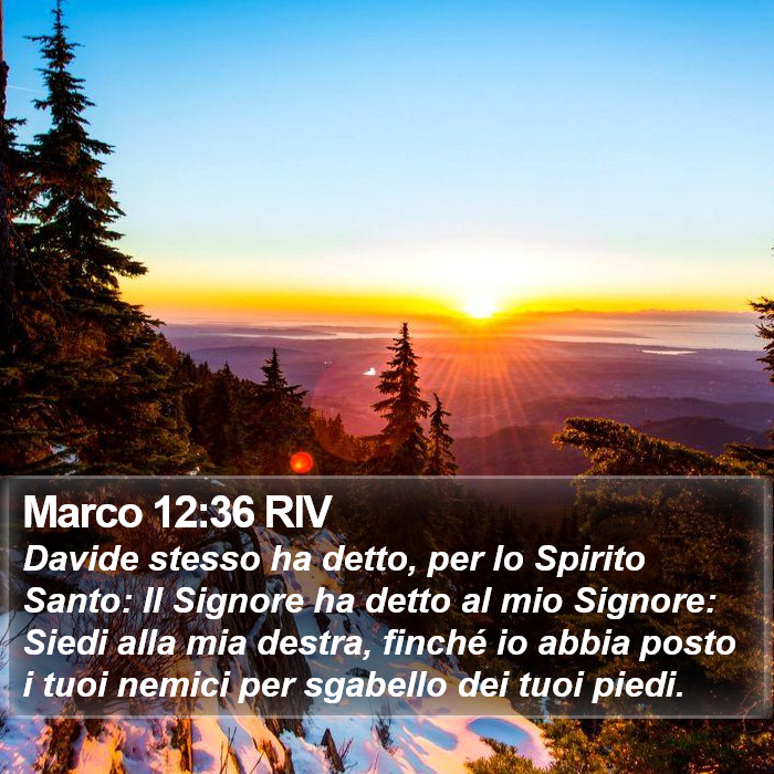 Marco 12:36 RIV Bible Study