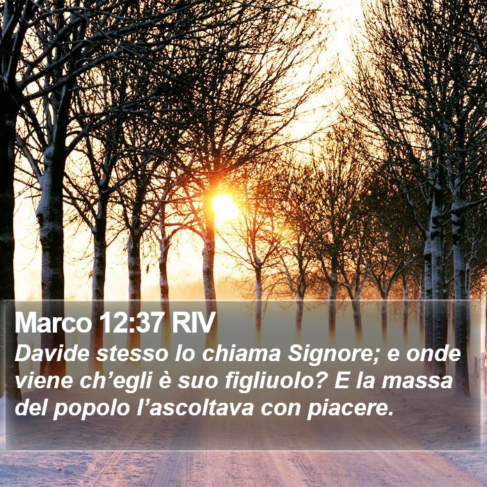 Marco 12:37 RIV Bible Study