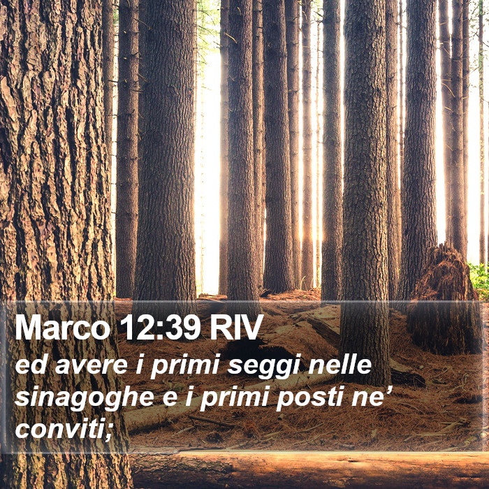 Marco 12:39 RIV Bible Study