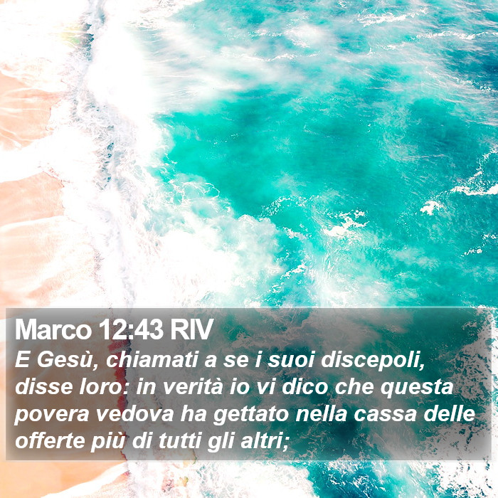 Marco 12:43 RIV Bible Study