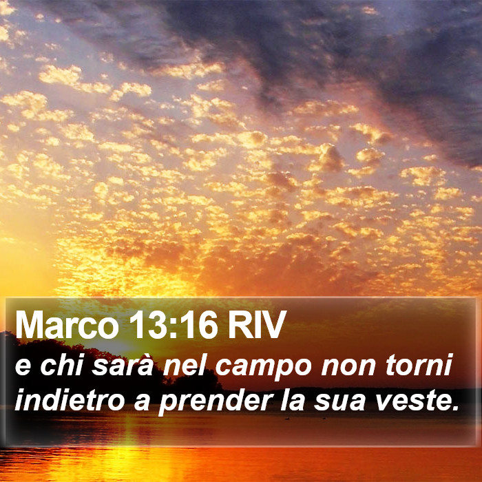 Marco 13:16 RIV Bible Study
