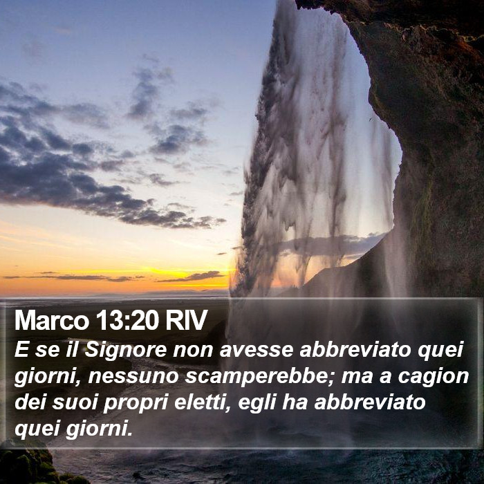 Marco 13:20 RIV Bible Study
