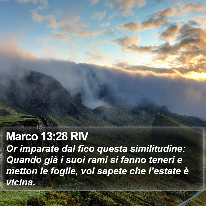 Marco 13:28 RIV Bible Study