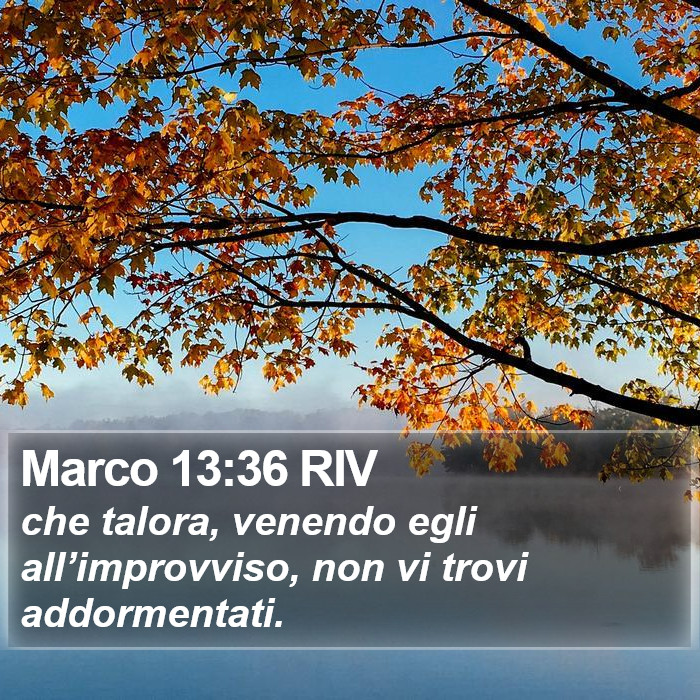 Marco 13:36 RIV Bible Study