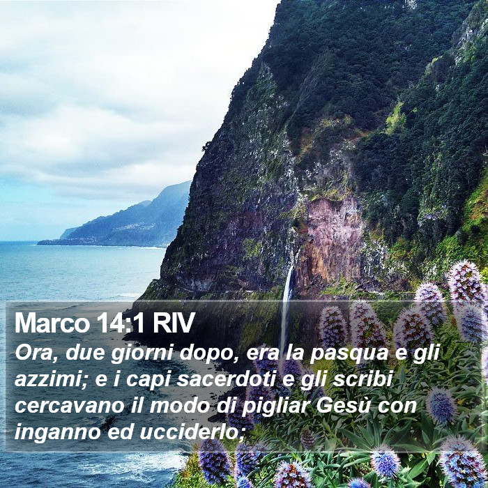 Marco 14:1 RIV Bible Study