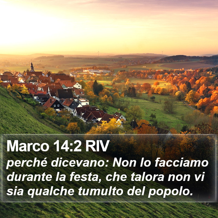 Marco 14:2 RIV Bible Study