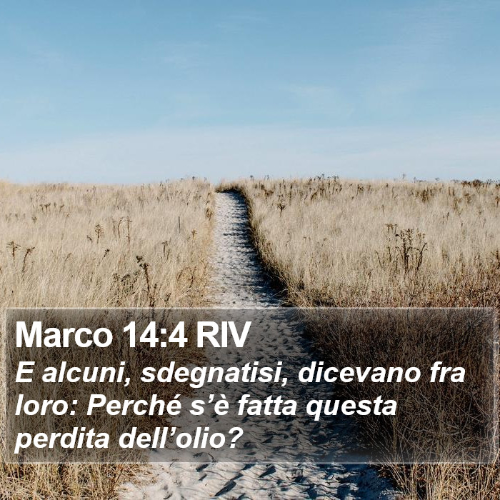 Marco 14:4 RIV Bible Study