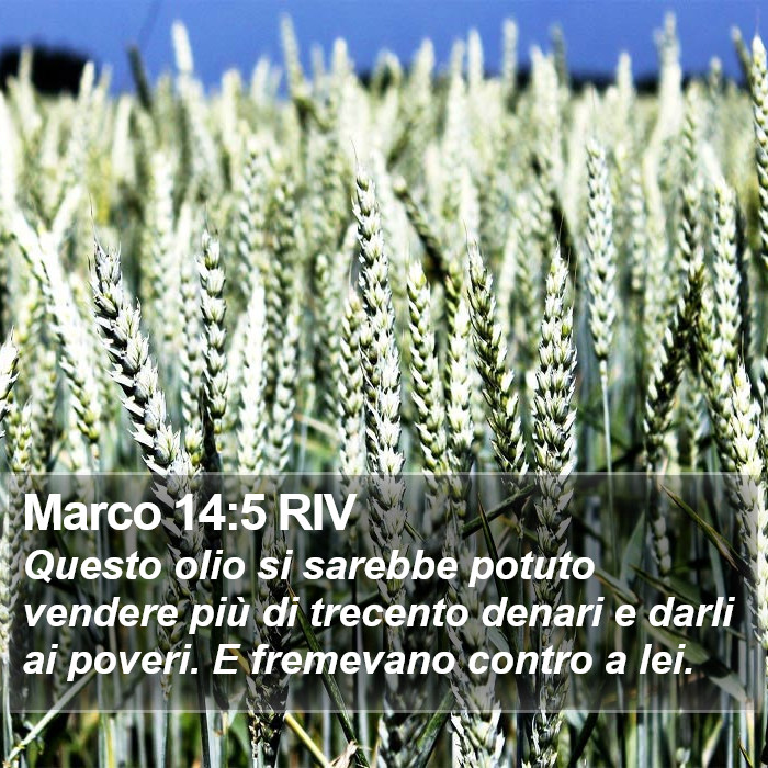 Marco 14:5 RIV Bible Study