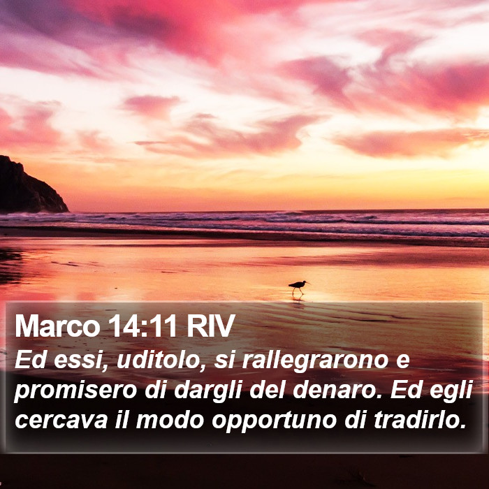 Marco 14:11 RIV Bible Study