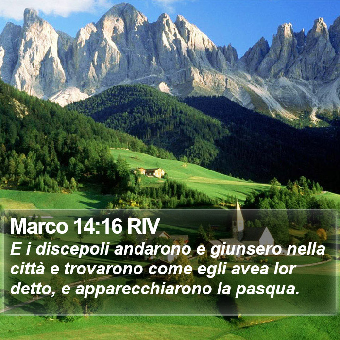 Marco 14:16 RIV Bible Study