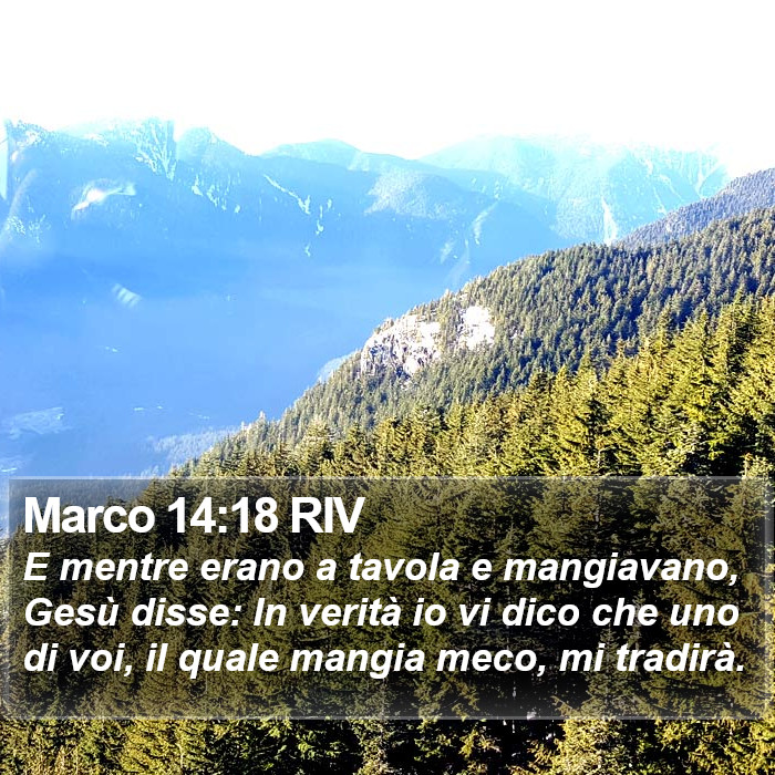 Marco 14:18 RIV Bible Study