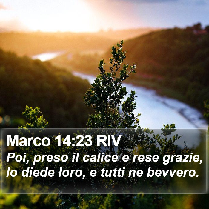 Marco 14:23 RIV Bible Study