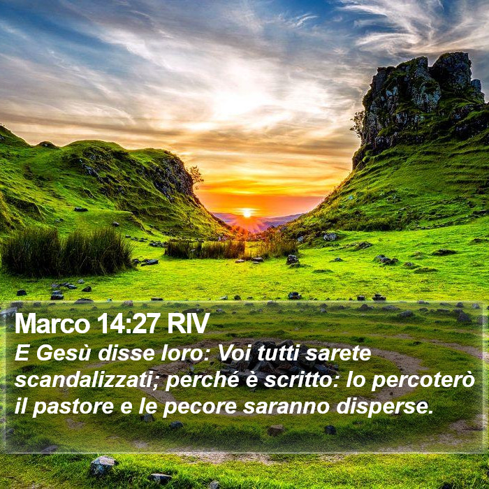 Marco 14:27 RIV Bible Study