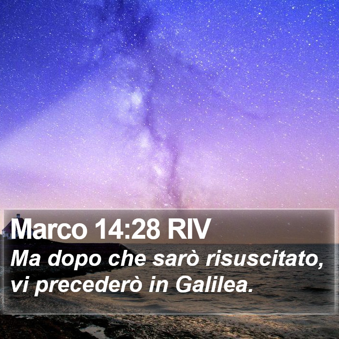 Marco 14:28 RIV Bible Study