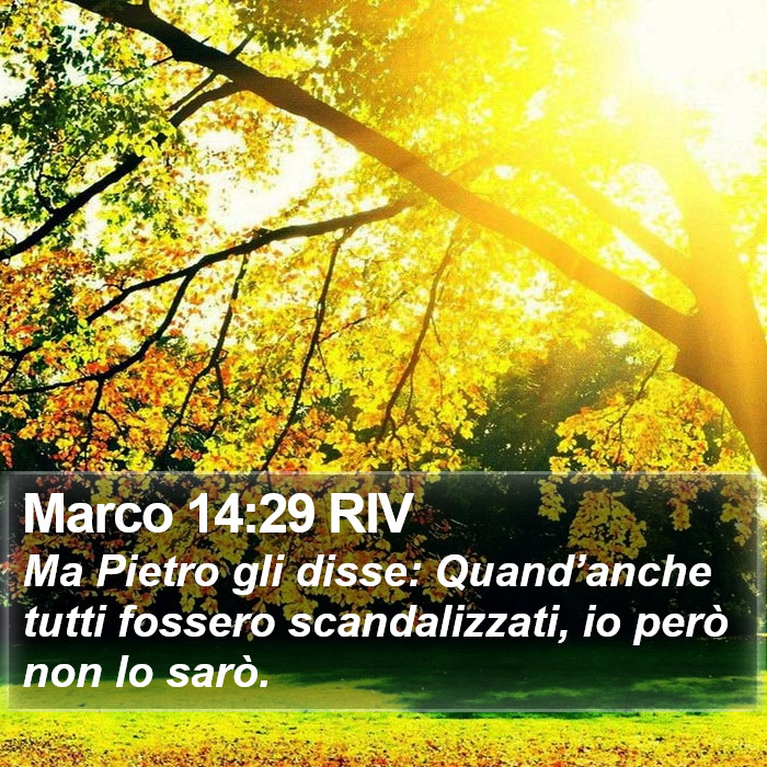 Marco 14:29 RIV Bible Study