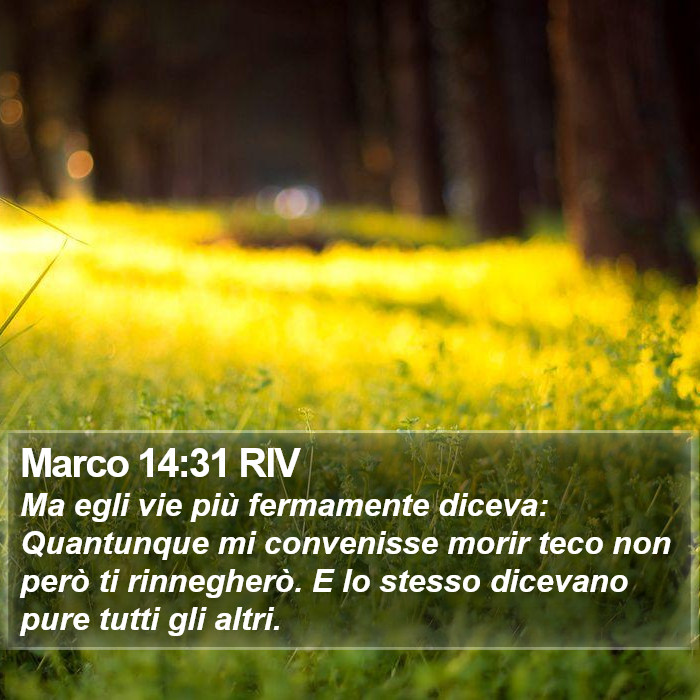 Marco 14:31 RIV Bible Study