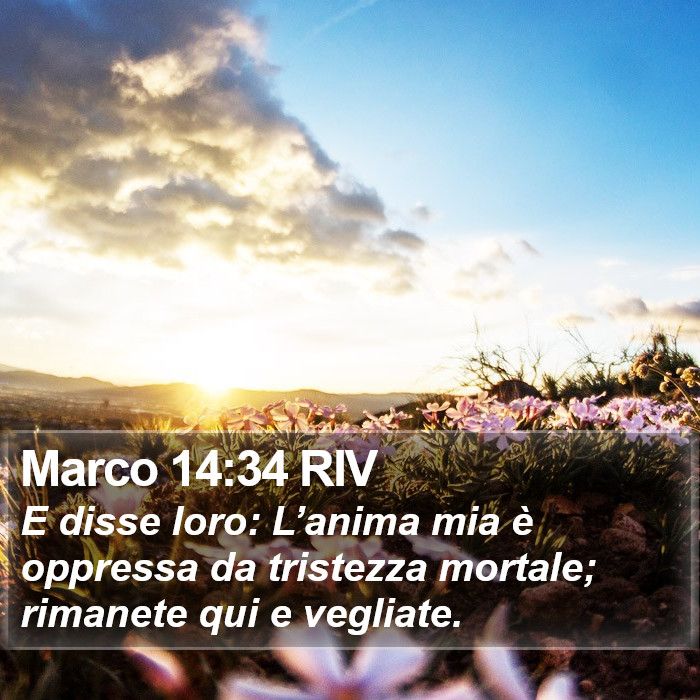 Marco 14:34 RIV Bible Study