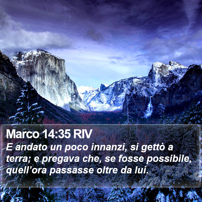 Marco 14:35 RIV Bible Study