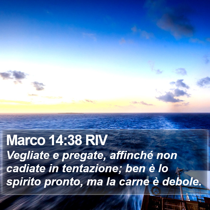 Marco 14:38 RIV Bible Study