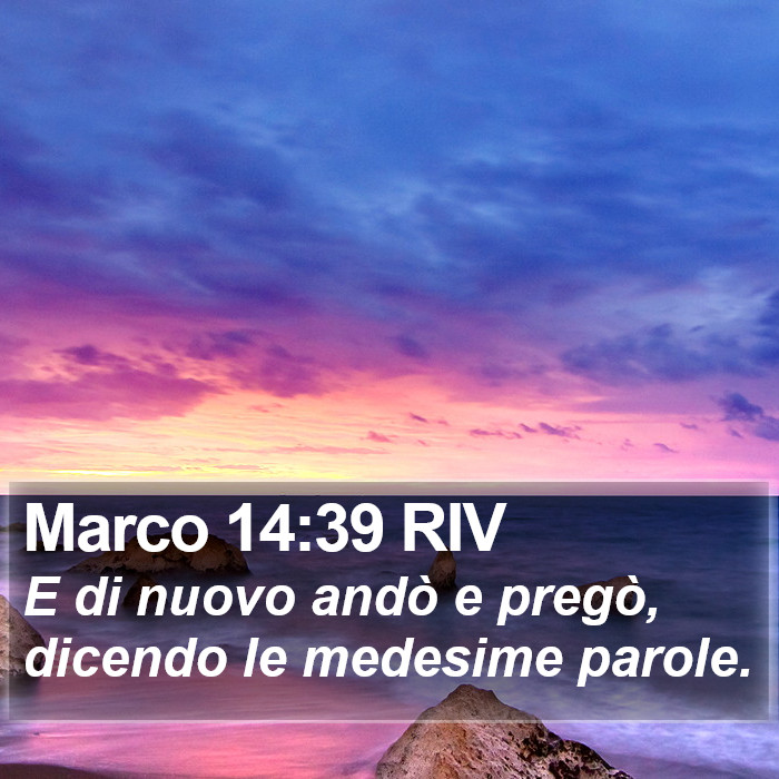 Marco 14:39 RIV Bible Study