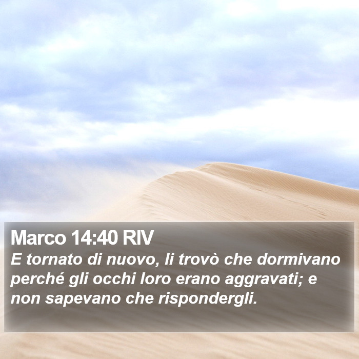 Marco 14:40 RIV Bible Study