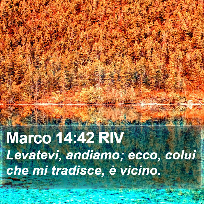 Marco 14:42 RIV Bible Study