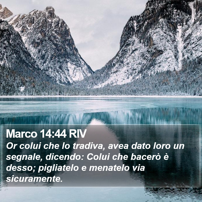 Marco 14:44 RIV Bible Study