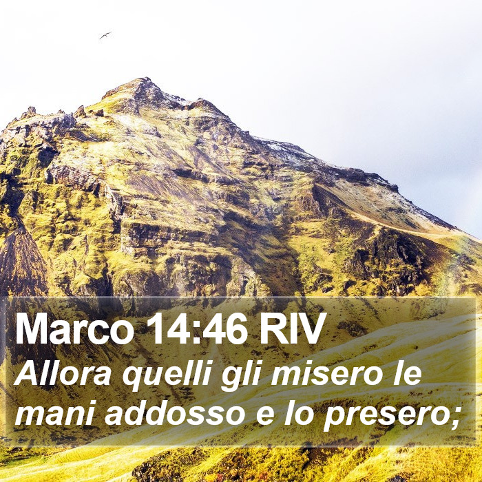 Marco 14:46 RIV Bible Study