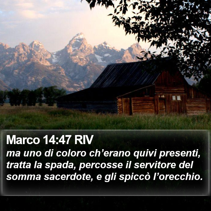 Marco 14:47 RIV Bible Study